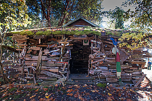 浮木,小屋,岛屿,不列颠哥伦比亚省,加拿大
