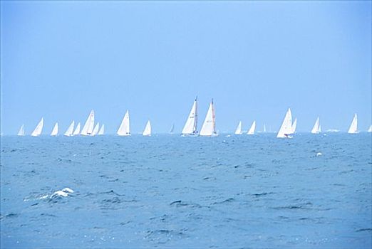帆船,竞争,斯德哥尔摩群岛,瑞典