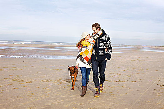 中年,夫妻,狗,漫步,海滩,荷兰