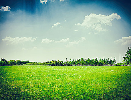 绿色,地点,蓝天,漂亮,自然,背景
