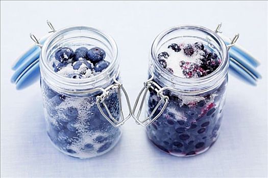 蓝莓,越桔,罐头瓶
