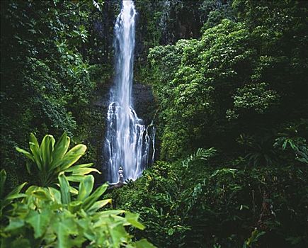 夏威夷,毛伊岛,海岸,女人,威陆亚,瀑布