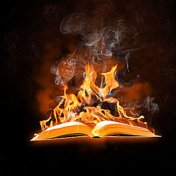 燃烧,书本