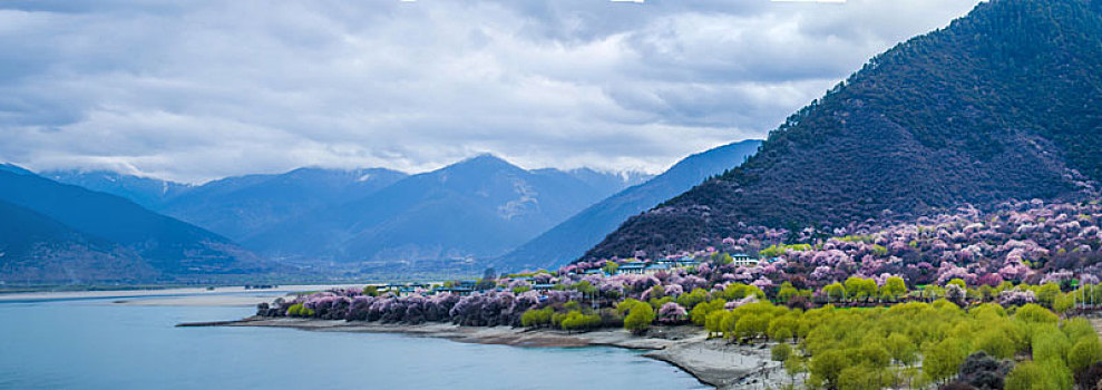 中国西藏自治区林芝桃花沟