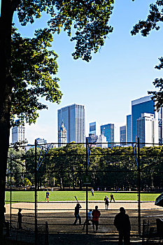 人,玩,棒球,中央公园,曼哈顿中城,纽约,美国