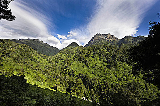 门口,顶峰,鲁文佐里山地区,乌干达