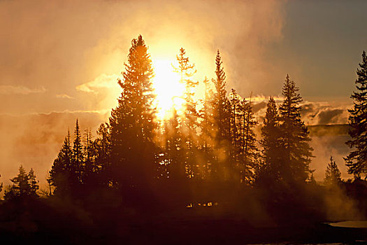 日出,蒸汽,温泉,针叶树,黄石国家公园,怀俄明,美国