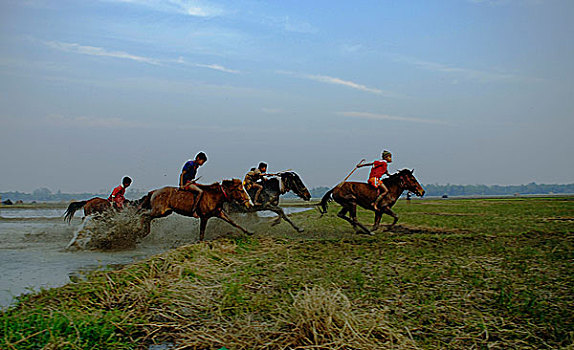 赛马,传统,运动项目,拿,泥,道路,田野,右边,收获,库尔纳市,孟加拉,一月,2008年