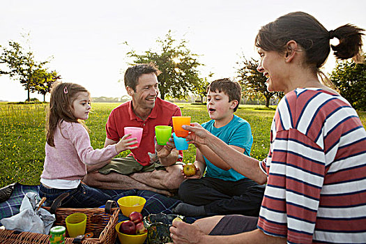 家庭,父母,两个孩子,户外,夏天,野餐