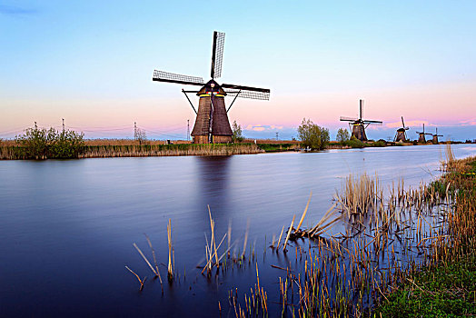 小孩堤防风车村,靠近,鹿特丹,荷兰