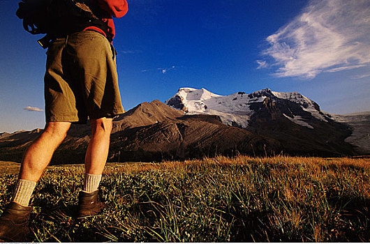 远足者,攀升,阿萨巴斯卡,碧玉国家公园,艾伯塔省,加拿大