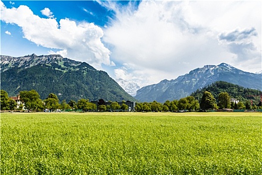 山景,因特拉肯,瑞士