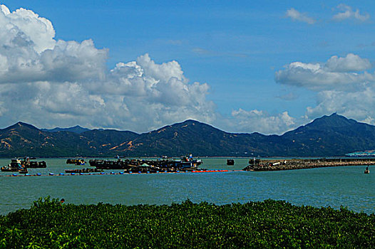 深圳蛇口海域风光