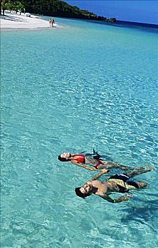 加勒比海,洪都拉斯,海湾群岛,伴侣,漂浮,清晰,青绿色,海洋,水,海滩,远景