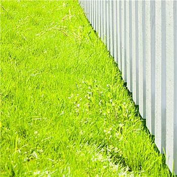 白色,栅栏,翠绿,草,特写