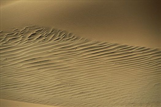 波纹,沙丘,纳米布沙漠,纳米比亚