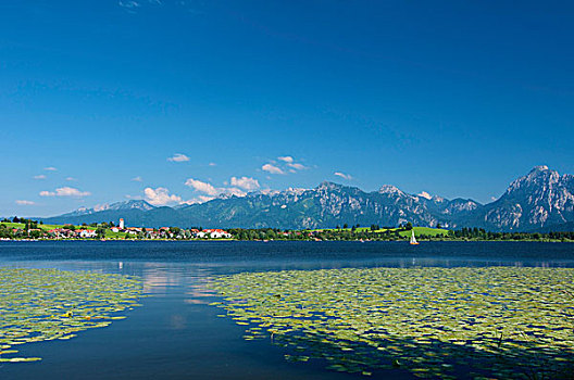 看,旁侧,湖,巴伐利亚,德国,欧洲