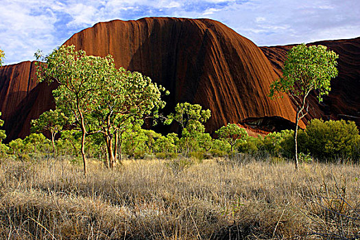 特写,乌卢鲁巨石,艾尔斯岩,乌卢鲁国家公园,北领地州,澳大利亚
