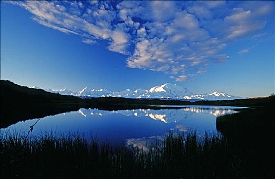 麦金立山,反射,德纳里峰国家公园,室内,阿拉斯加,夏天