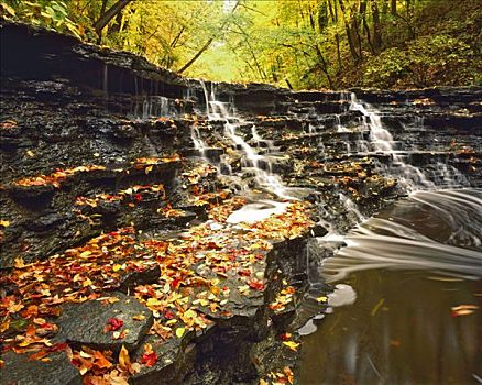 秋天,瀑布,木头,峡谷,景色,自然保护区,靠近,辛辛那提,俄亥俄