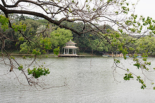 广州天河公园景观