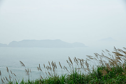 芦苇前景的海岛风光