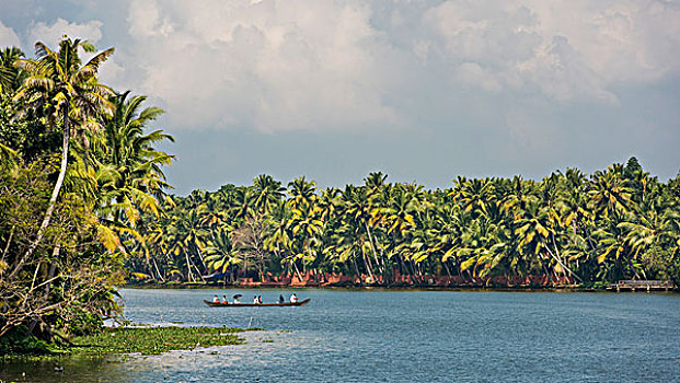 船,棕榈树,死水,运河,喀拉拉,海岸,印度南部,印度,亚洲