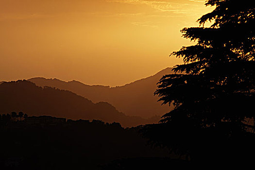 日落,喜玛拉雅,山麓,印度