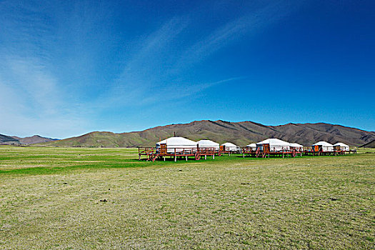 蒙古包,露营,轮子,国家公园,南方,草原,前杭爱省,省,蒙古,亚洲
