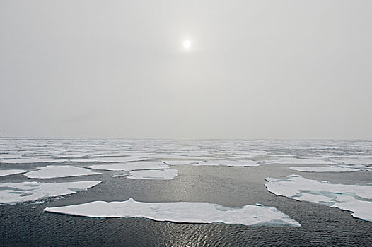 浮冰,雾,斯瓦尔巴特群岛,挪威