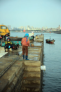 山东省日照市,渔家大嫂清晨5点赶到渔码头,开启新一天的接海模式