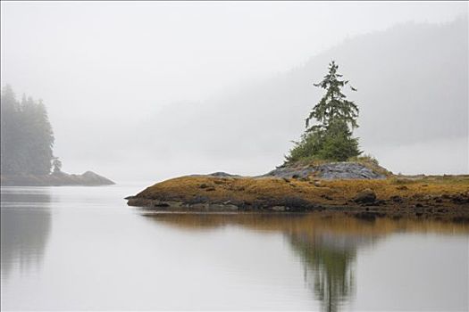 岛屿,海中,彼得斯堡,阿拉斯加,美国