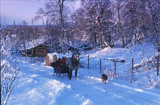 伴侣,雪撬,乘,马塔努损卡河谷