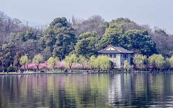 西湖美景