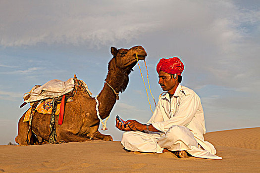 印度,拉贾斯坦邦,部落男人,骆驼,智能手机
