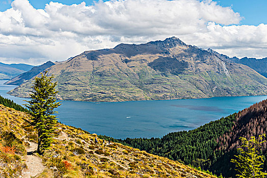 风景,瓦卡蒂普湖,徒步旅行,奥塔哥,南岛,新西兰,大洋洲