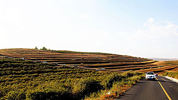 草原天路