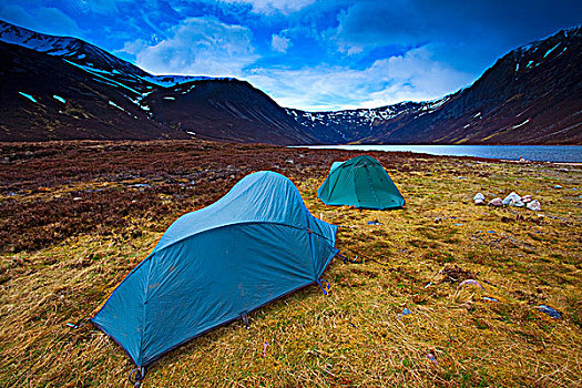 苏格兰,高地,远足者,露营,野外,靠近,湖,凯恩戈姆国家公园