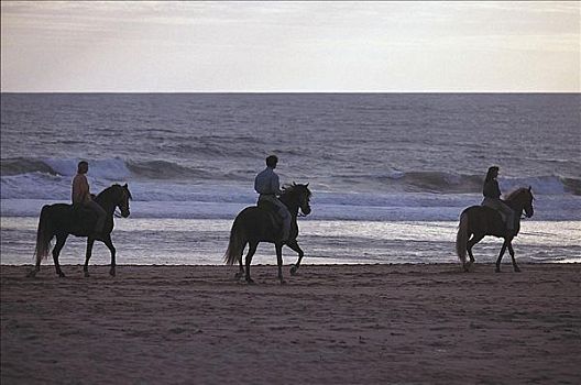 男人,女人,骑马,骑,海滩,假日,安达卢西亚,西班牙,欧洲