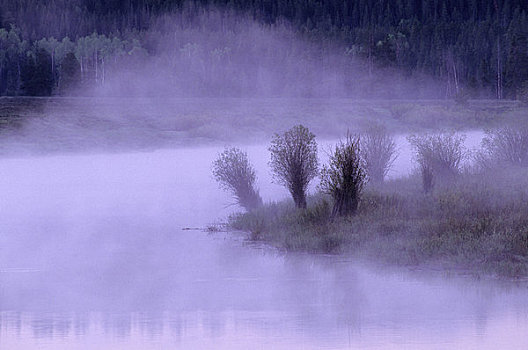 美国,怀俄明,大台顿国家公园,蛇河,牛蹄湾,雾,上升,早晨