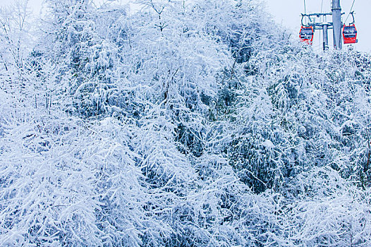 西岭雪山大雪的美丽风景