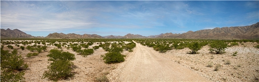 卡奥科兰,沙漠公路