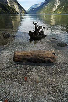 根,木头,石头,河边,上巴伐利亚,巴伐利亚,德国
