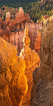 岩石构造,针,石头,布莱斯峡谷国家公园,犹他,美国,北美