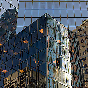反射,摩天大楼,玻璃,建筑,金色,英里,蒙特利尔,魁北克,加拿大