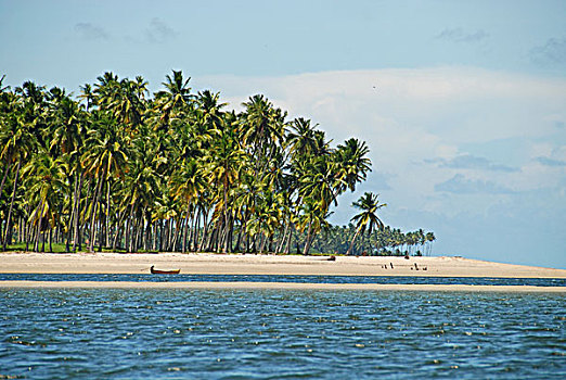 brazil,pernambuco,praia,dos,carneiros,white,sand,beach,with,palm,trees