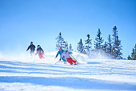男性,女性,滑雪,积雪,滑雪坡,白杨,科罗拉多,美国