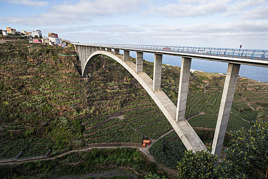 拱形,桥,冲沟,水,帕尔玛,加纳利群岛,西班牙