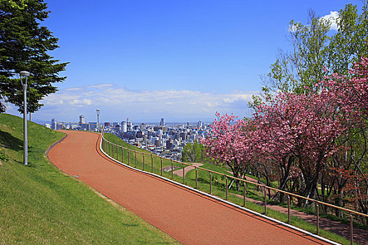 花,纪念公园,札幌
