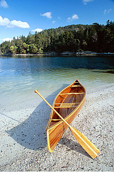 独木舟,岸边,弗尔福特港,不列颠哥伦比亚省,加拿大